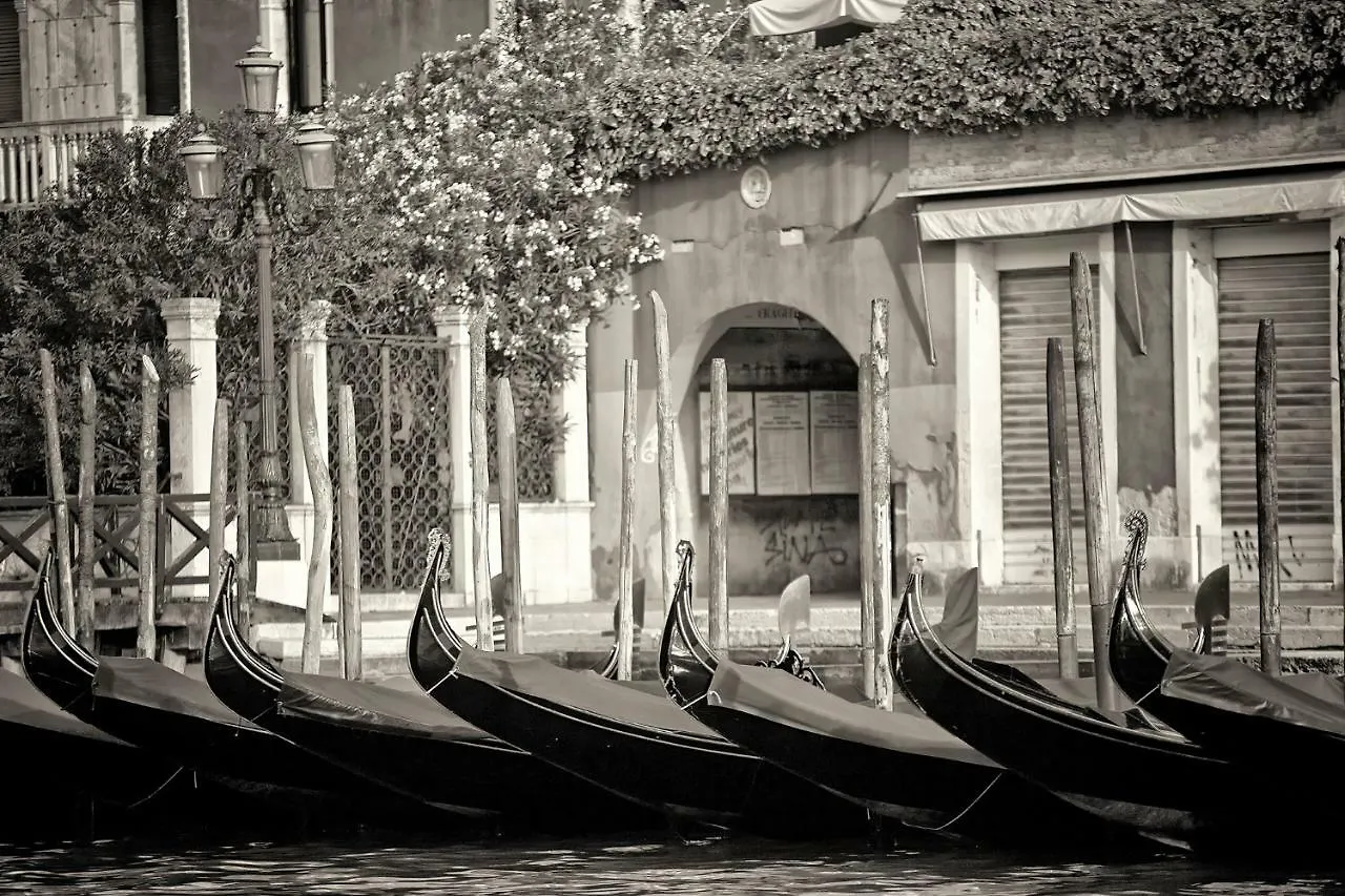Ca Dama Del Pozzo Apartment Venice